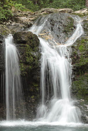 online auction brochure